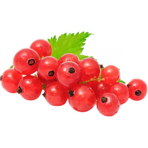 Ribes rosso