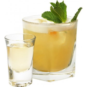 Mojito shakerato