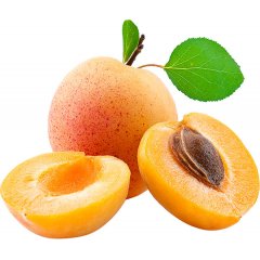 Абрикос