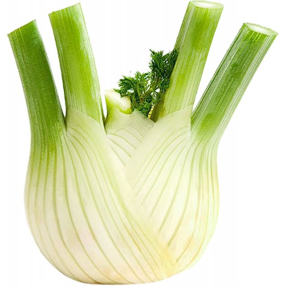 Fenouil