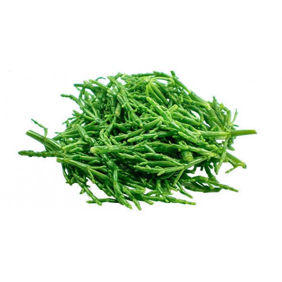 Samphire