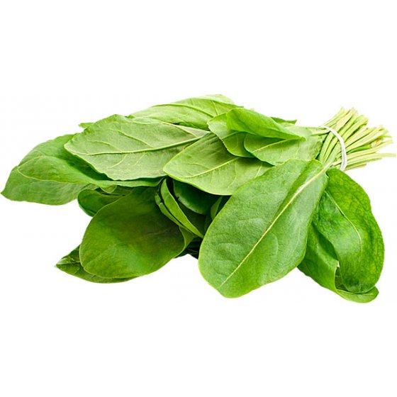 Acedera