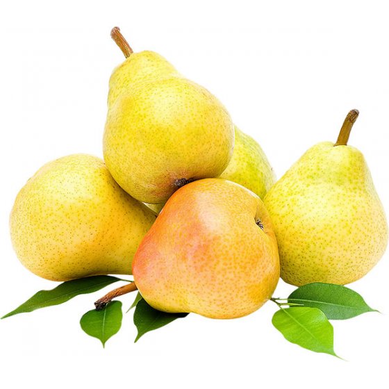 Pear (3)