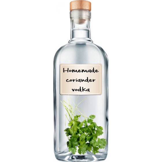 Homemade coriander vodka