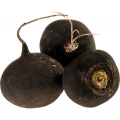 Редька