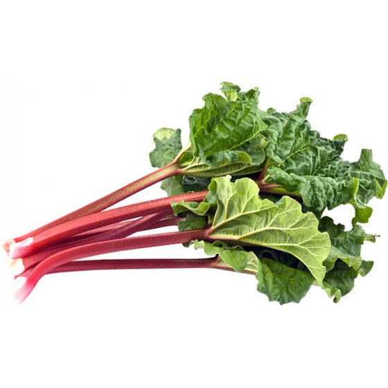 Rhubarbe