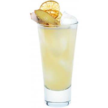 Gin mule