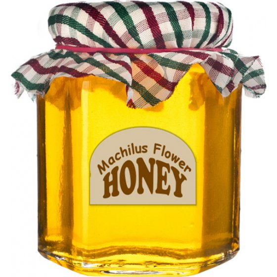 Machilus honey